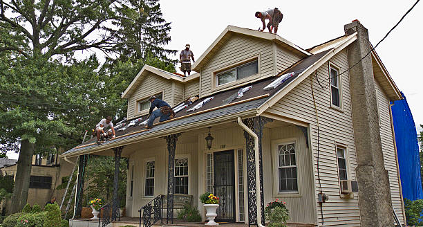 Best Roof Gutter Cleaning  in Roslyn, PA